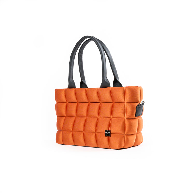 OXFORD50-SMALL-EGITTO-2